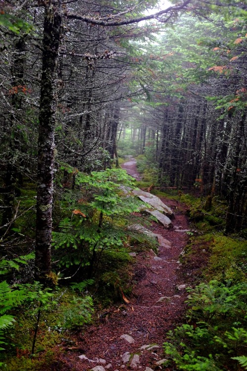pedrodynomite:all in a days walk aaaawww :3 Loooffff