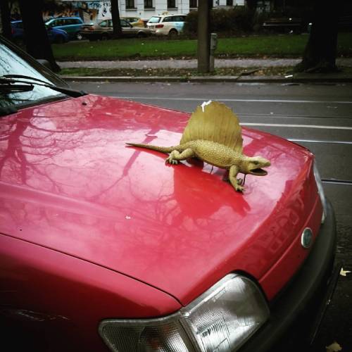 #cargoals Best #hoodornament ever #paleontologyrocks