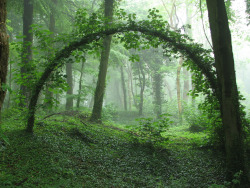 And here we see the elven stargate~:P