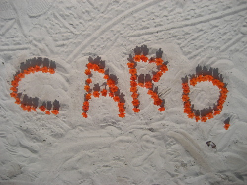 wrote my bestfriends name in the sand with flowers! love her