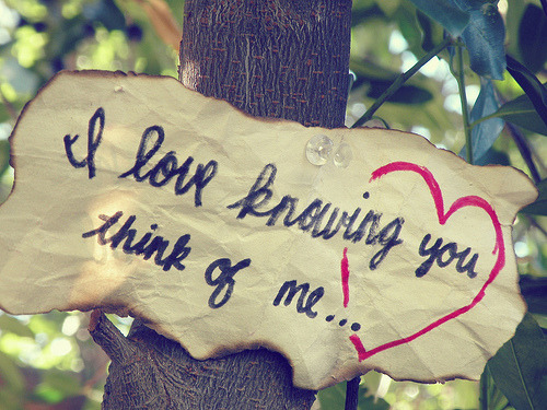 MY LOVE