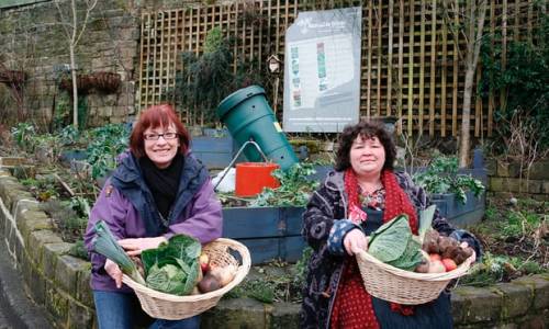 solarpunk-aesthetic:my-minds-matters:solarpunk-aesthetic:Guerrilla GardeningGuerrilla Gardening is t