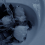 flos-veritatis