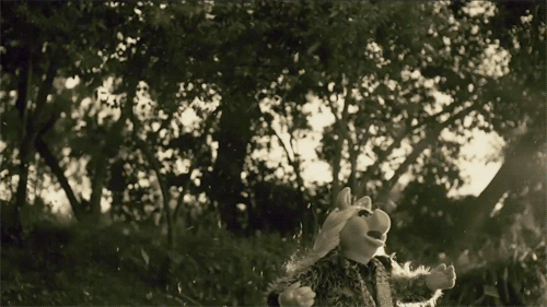 babygirls-sweetsurrender:  Because….Miss Piggy slowmo magnificence. :-D  😂😂😂