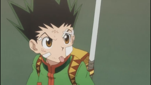 gatherer-schafer: gatherer-schafer:Gon going :Pa definitive edition Togashi on 25th May 2022 after t