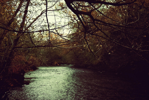 jacindaelena:    by Oliver Liria