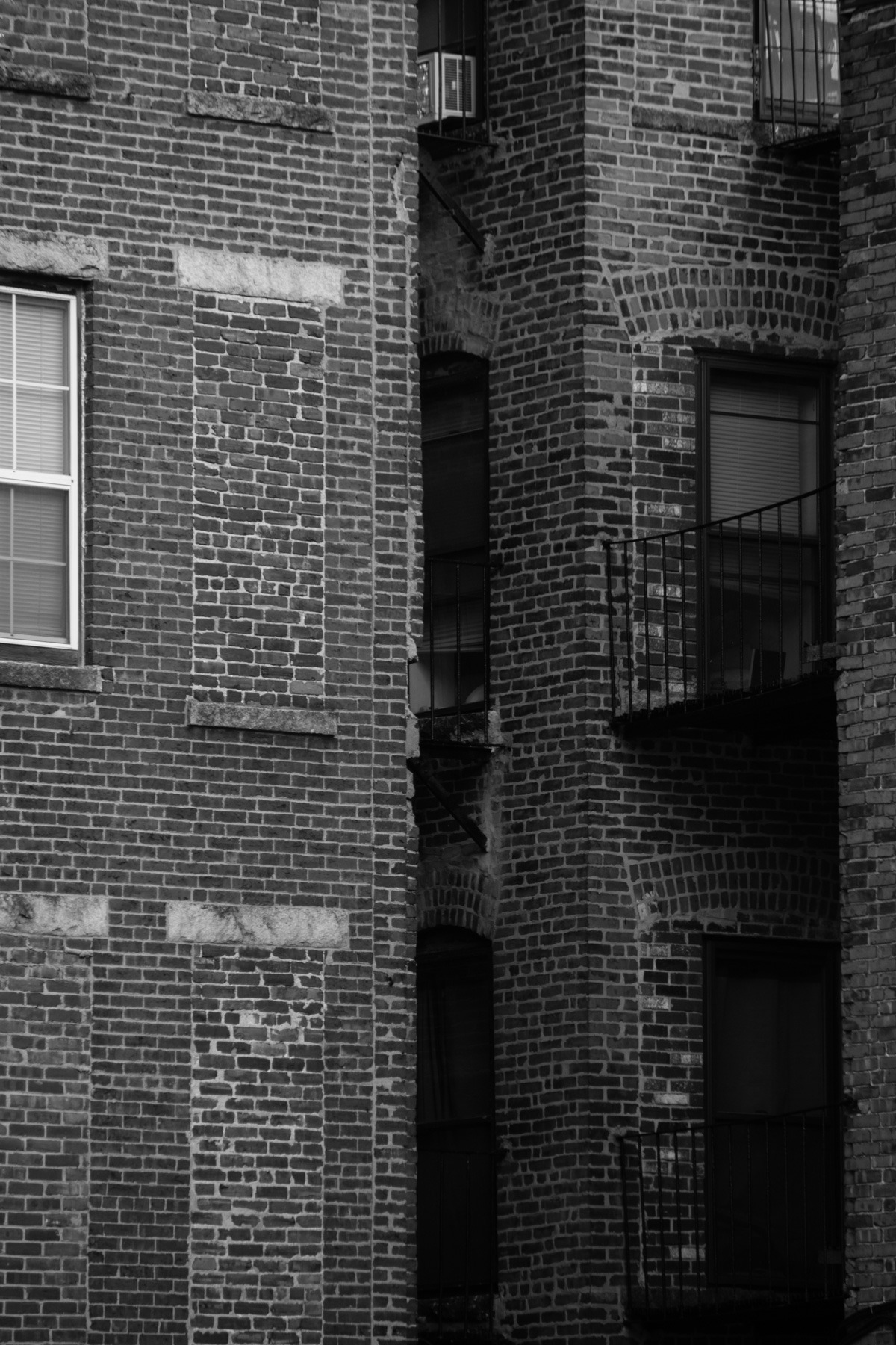 babalou71:  Urban Jungle 