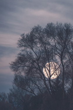 atmosphereofmoon:  Moon