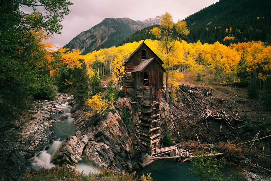 woodendreams:  (by Martynas Milkevičius)