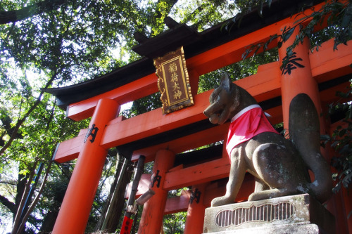 緑の綺麗な季節になってきました京都暮らし初心者のBlog：kyotokurashi.blog.fc2.com/