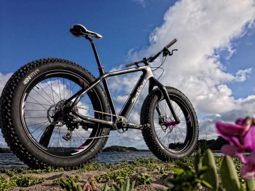 kinkicycle: Salsa Beargrease Fatbike by OldKlein on Flickr.