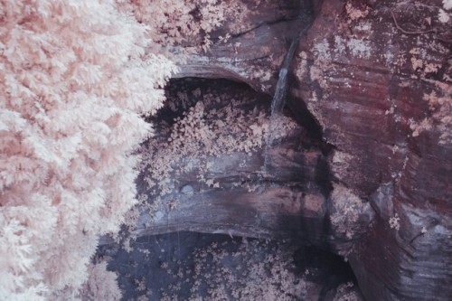 bonyfisheye:  Visible Light vs Infrared photos from Starved Rock State Park in Illinois