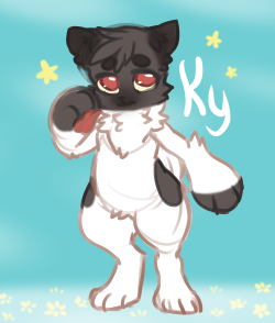 art-mindmusic:For Scpkid (fursona, Ky) Doodle