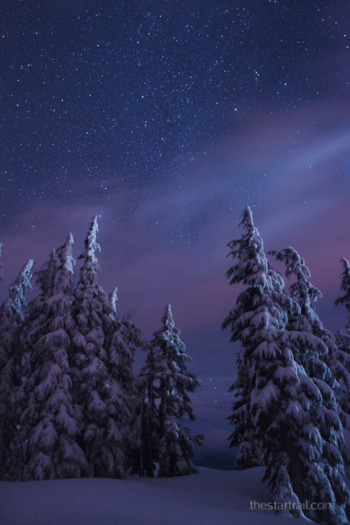 brutalgeneration:  Brisk Starry Night (by Ben Canales) 