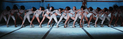 wildthvvghts:FORMATION (2016) x APESHIT (2018)