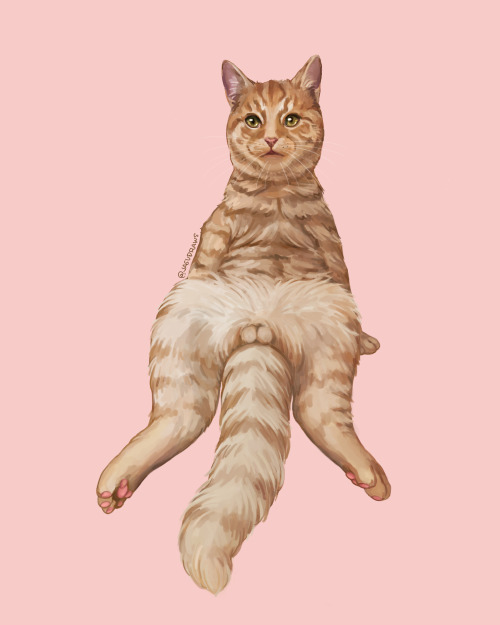 I drew a friend’s kitty, his name is Bob. 