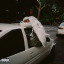 goldblckwhite