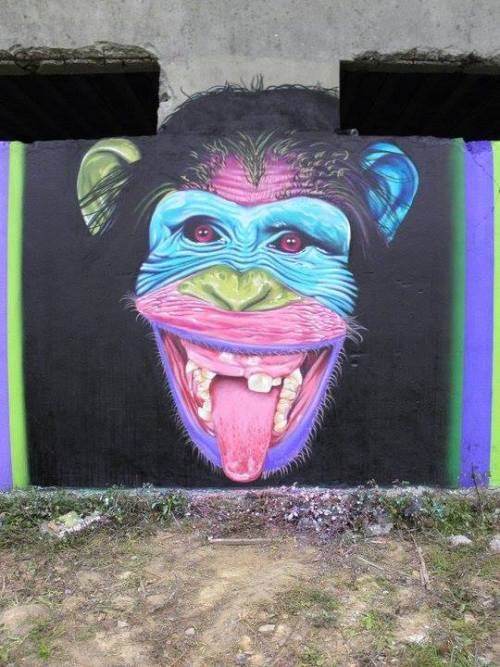 spreadingthebeautiful: MONKEYS - APESArtist: Carneiro —- Carneiro Art Sessions