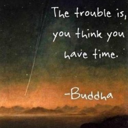 ojosestrelladas:  After taking a semester on Asian Religions, I’d say I’m a  buddhist sympathizer, there’s so much #wisdom &amp; it makes a lot of sense