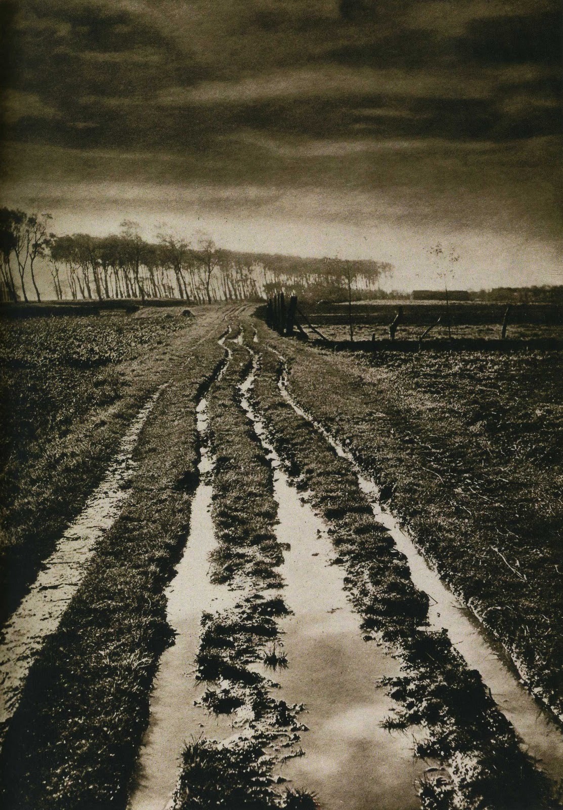 last-picture-show: Alexandre (Albert- Edouard Drains), Morning after the Rain, 1903