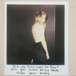 :  Polaroid #50 