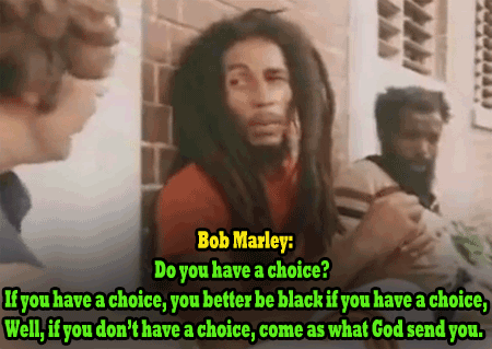 the-goddamazon:  rastaqueen3000ad:  blasianxbri:  18-15n-77-30w:  ikaythegod:  Lol…