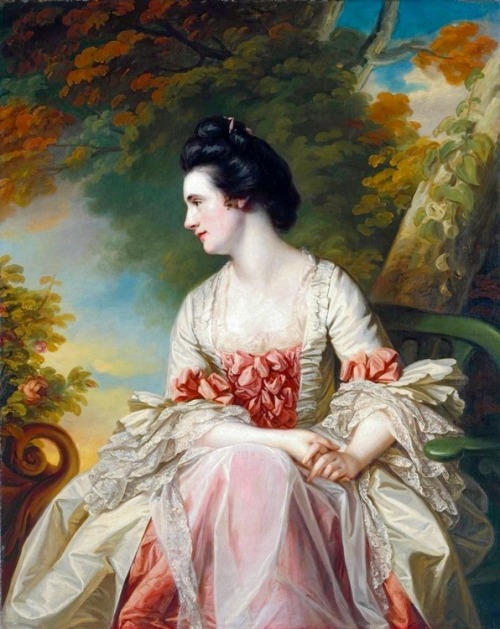 Portrait of a Lady - Francis Cotes (1768).