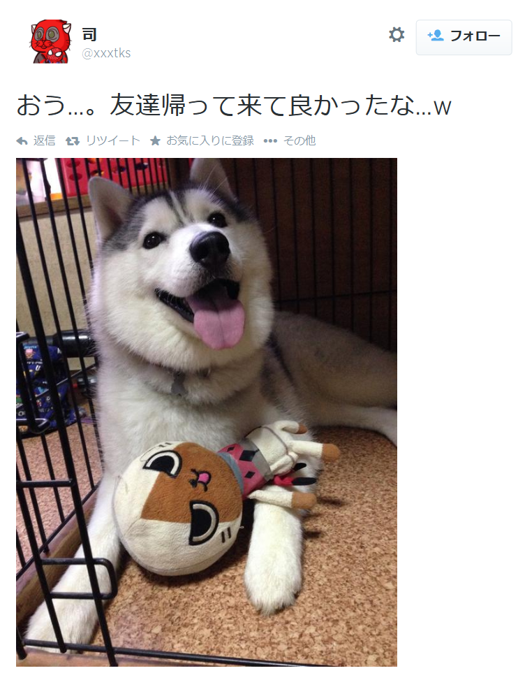 highlandvalley:  Twitter / xxxtks: キューキュー鳴くからなにかと思ったら自分のオモチャに向かって