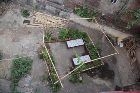 &ldquo;Take back the city with A Pop-Up Garden! A collaborative effort between Nicola Antaki, SN