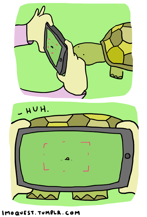 imoquest:  man this always happen when I see a groundhog 
