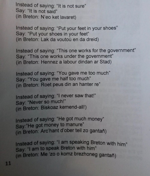 cosmogyros:My family subscribes to “Bro Nevez”, the newsletter of the International