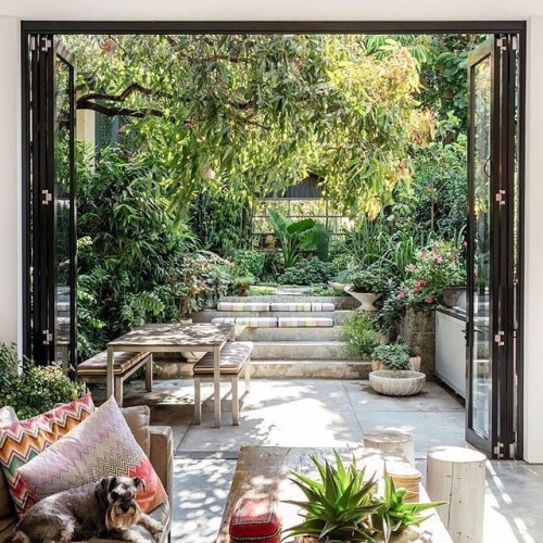 thevisualvamp:Garden