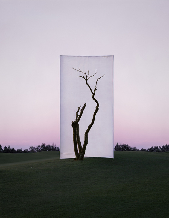 from89:  Trees In Front Of Canvas (by Myoung Ho Lee) Found Here 