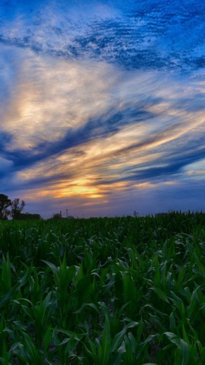 Sunset, clouds, green farm, 720x1280 wallpaper @wallpapersmug : ift.tt/2FI4itB - ift
