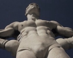 gluteus maximus