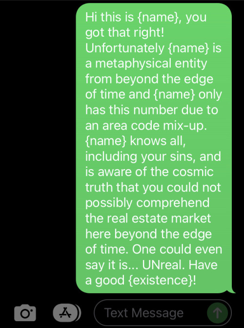 I Like To Have Fun With Spam Texts Sometimes.