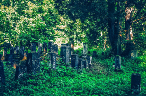 Abandoned Cemetery山奥の無縁墓地,日本