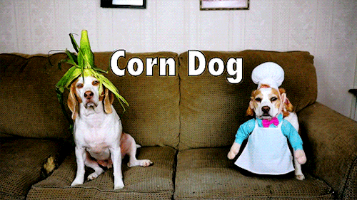 Video: How to Chef Like a Dog