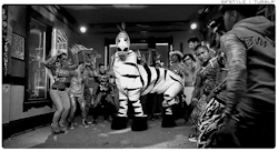 LIBERTAD