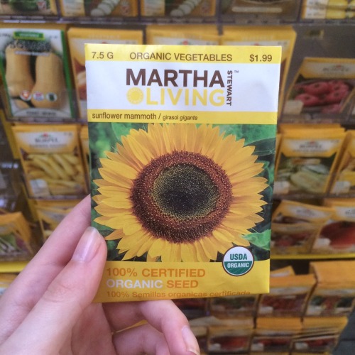 urnotkyungsoo:  garden center aesthetics