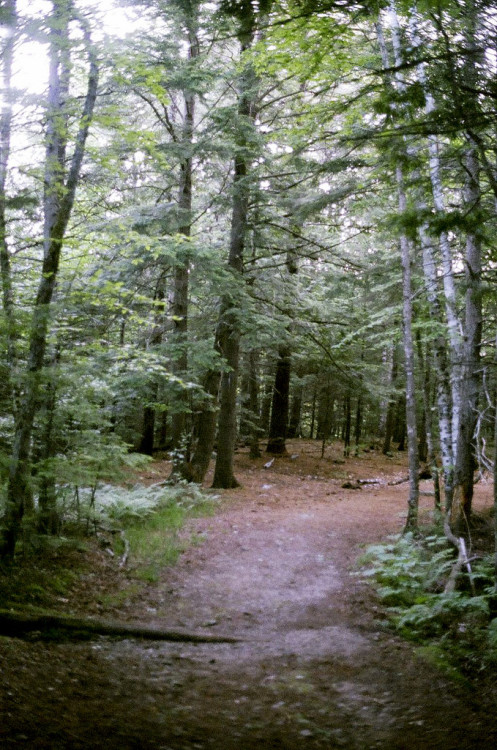 brutalgeneration:  (by Isabelle Dow)