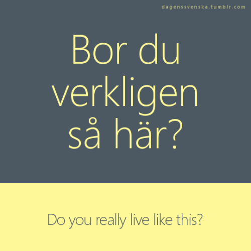 Bor du verkligen så här?Do you really live like this?Du måste städa!You have to clean!-Help me save 