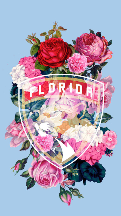 florida panthers