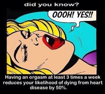 housewifesecrets:  mckenziepr:  well then at last count from this past moments with