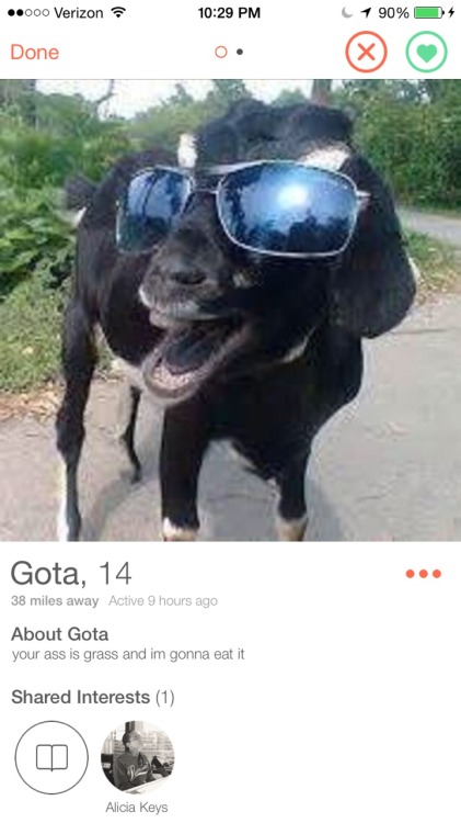 browngirl: oh my god antheiia omg I found you on tinder back in march&hellip;