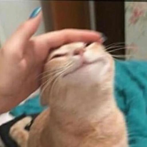 drsilverfish:  misshelix:  DeanJust go tell himDean ffs just go tell him you love