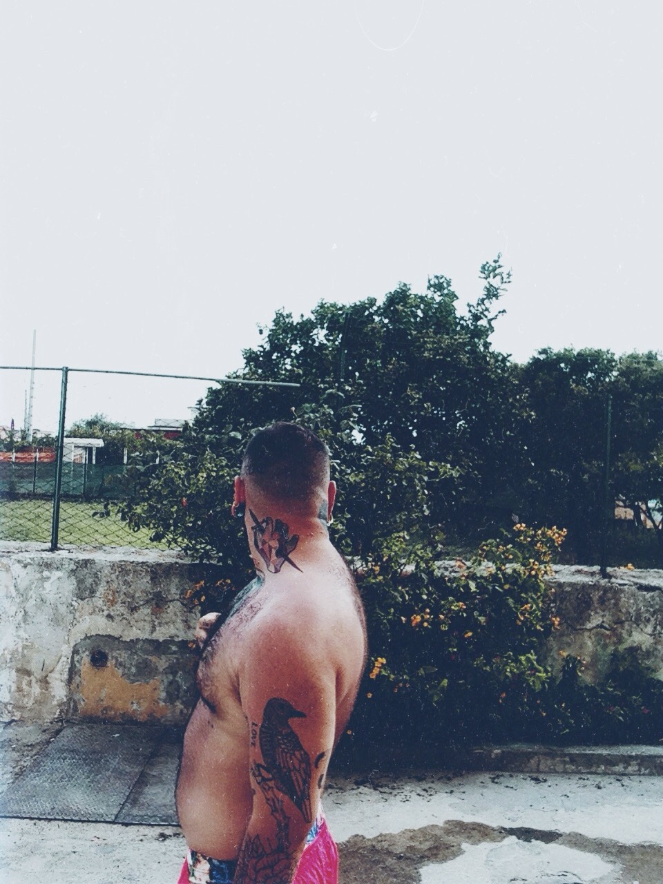 LTTLSLR