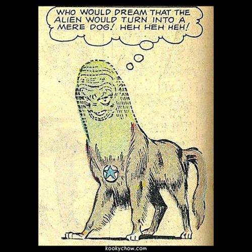 Imported from image metadata:⁠ #vintagecomics #retrocomics #kookychow #weirdcomics #classiccomics⁠ &