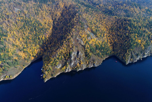 Autumn foliage on the banks of the Yenisei River in the Siberian taiga (Russia).The Yenisei River is