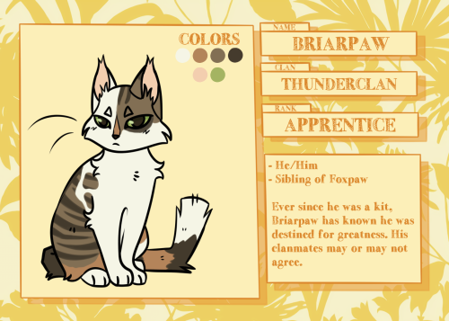 BRIARPAW ; HE/HIMTHUNDERCLAN APPRENTICE.Ever since he was a kit, Briarpaw has known he was destined 